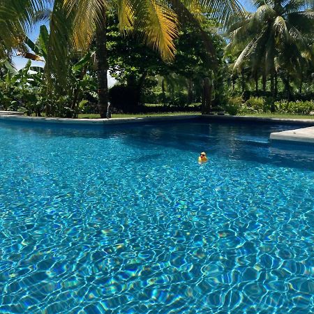 Sand Dollar Beach Bed&Breakfast Bocas del Toro Exterior foto