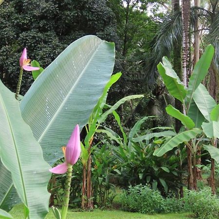 Sand Dollar Beach Bed&Breakfast Bocas del Toro Exterior foto
