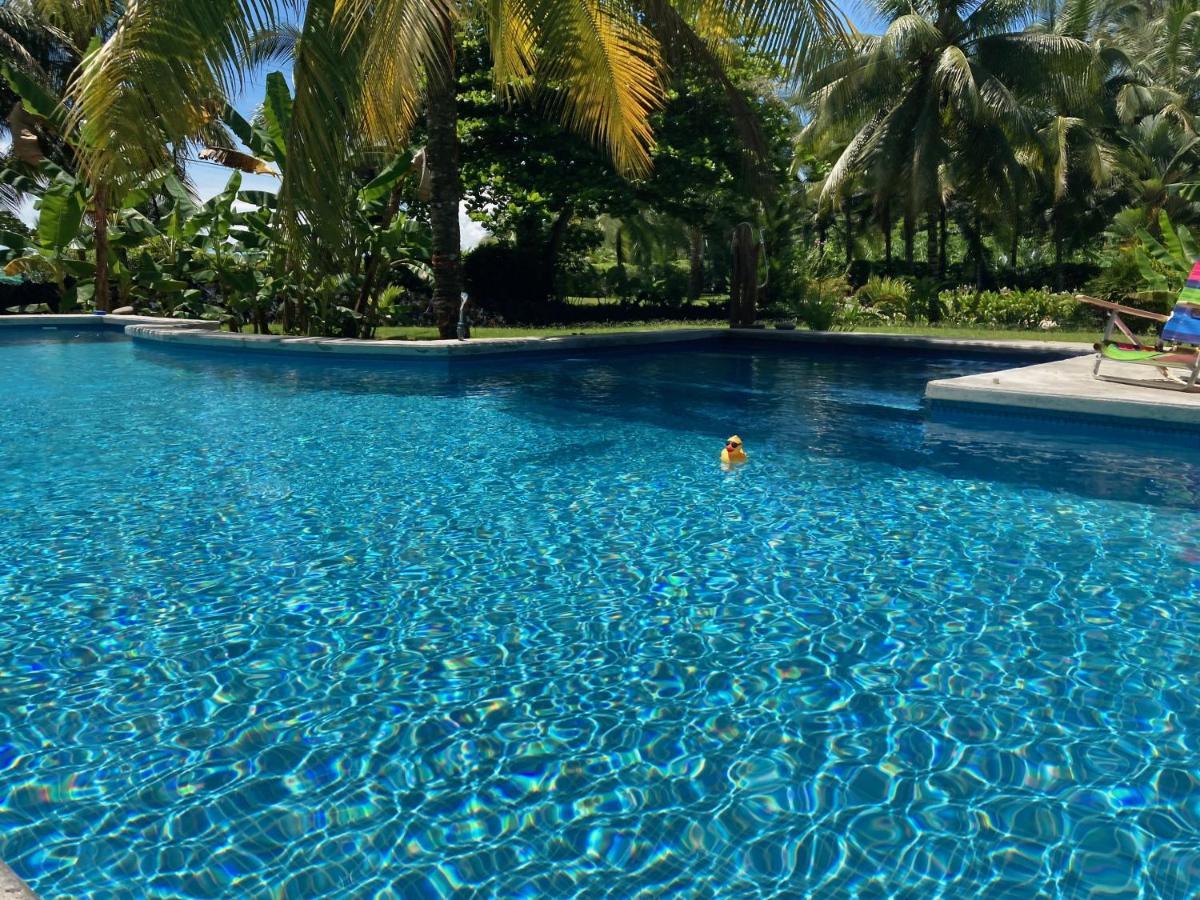 Sand Dollar Beach Bed&Breakfast Bocas del Toro Exterior foto