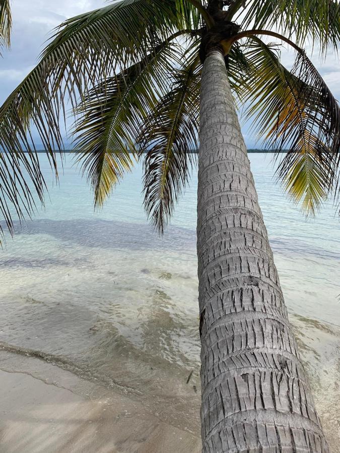 Sand Dollar Beach Bed&Breakfast Bocas del Toro Exterior foto