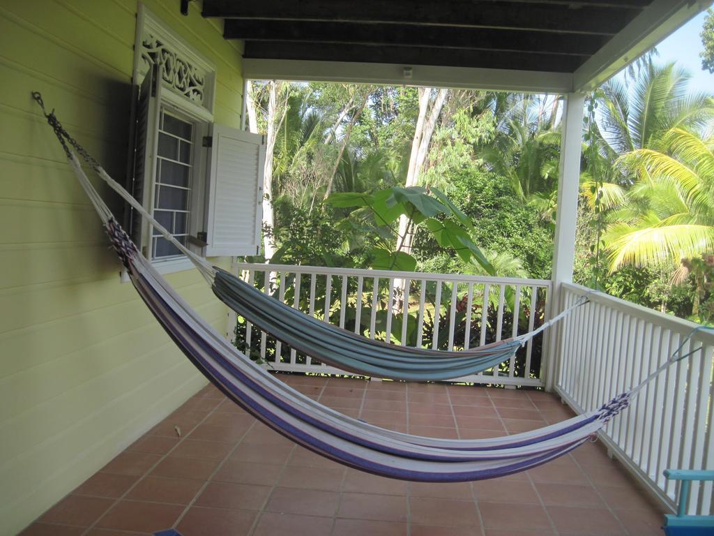 Sand Dollar Beach Bed&Breakfast Bocas del Toro Zimmer foto