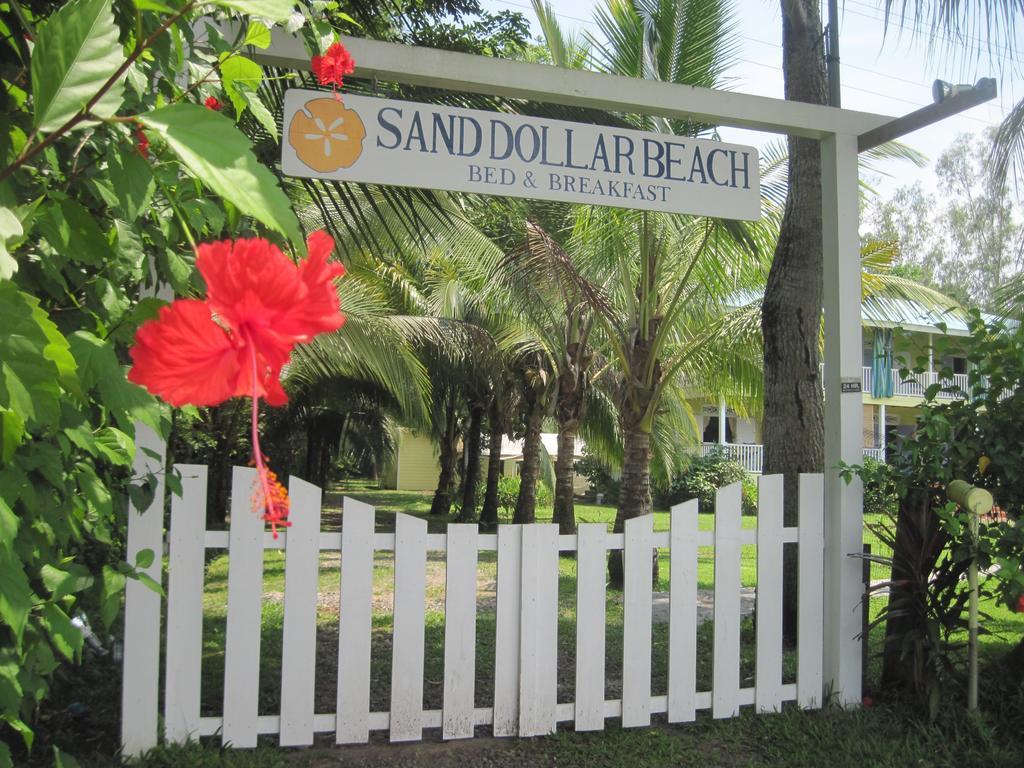 Sand Dollar Beach Bed&Breakfast Bocas del Toro Zimmer foto