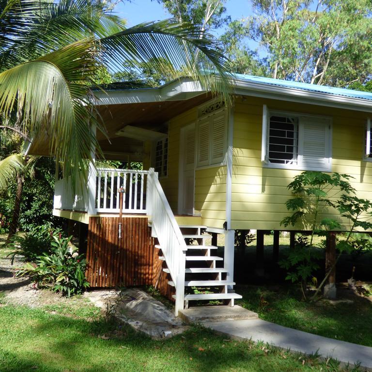 Sand Dollar Beach Bed&Breakfast Bocas del Toro Zimmer foto