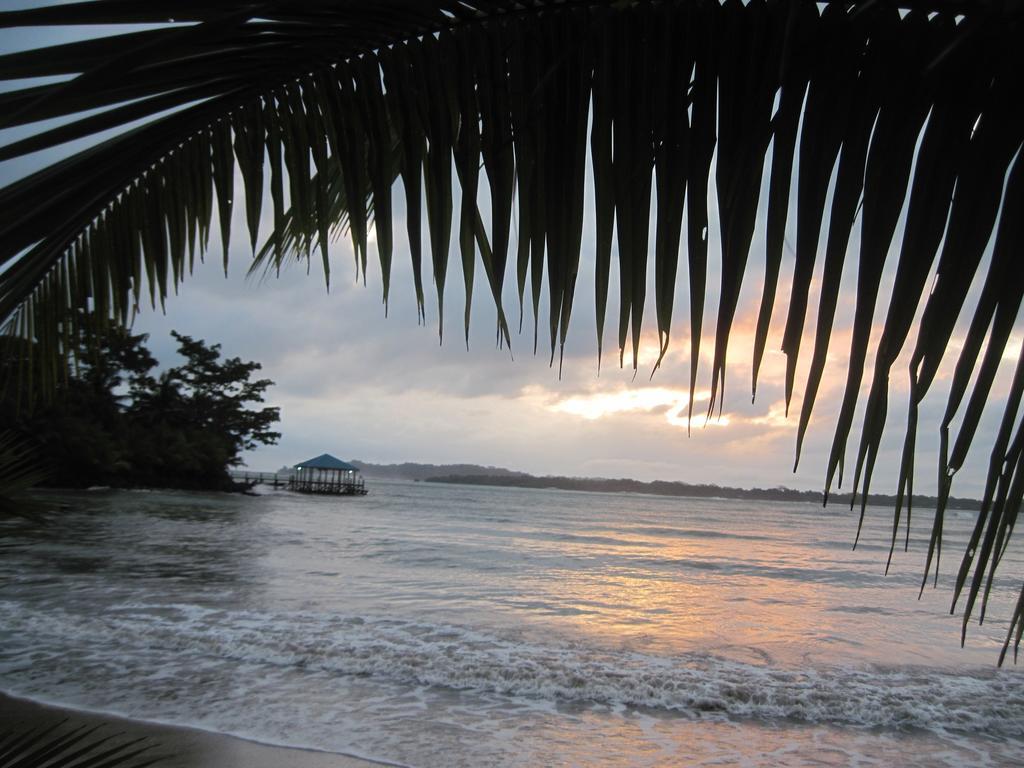 Sand Dollar Beach Bed&Breakfast Bocas del Toro Exterior foto