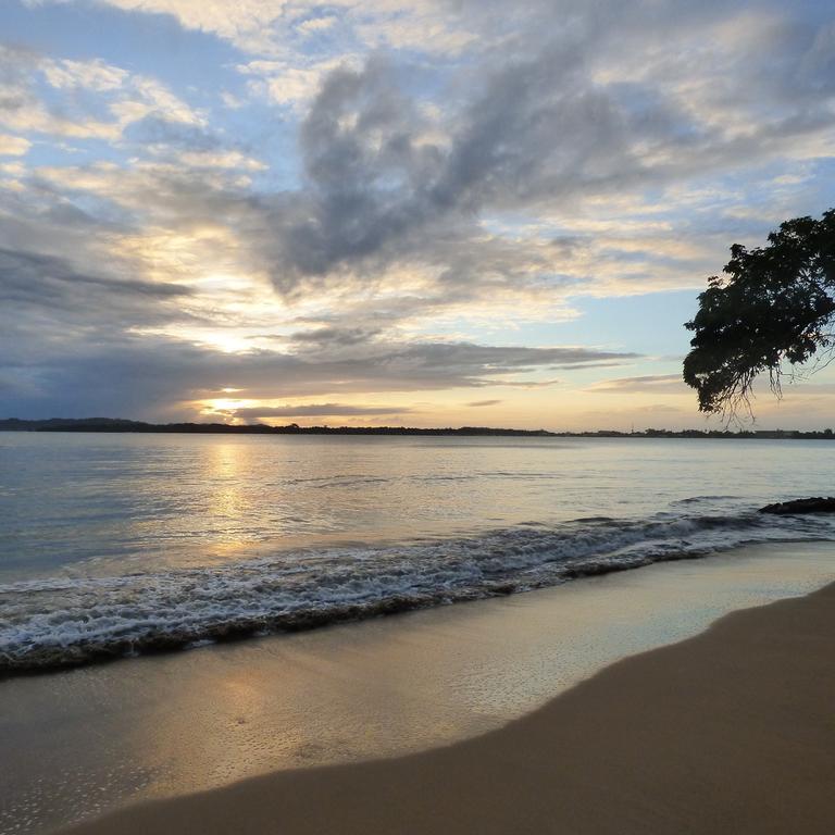 Sand Dollar Beach Bed&Breakfast Bocas del Toro Exterior foto
