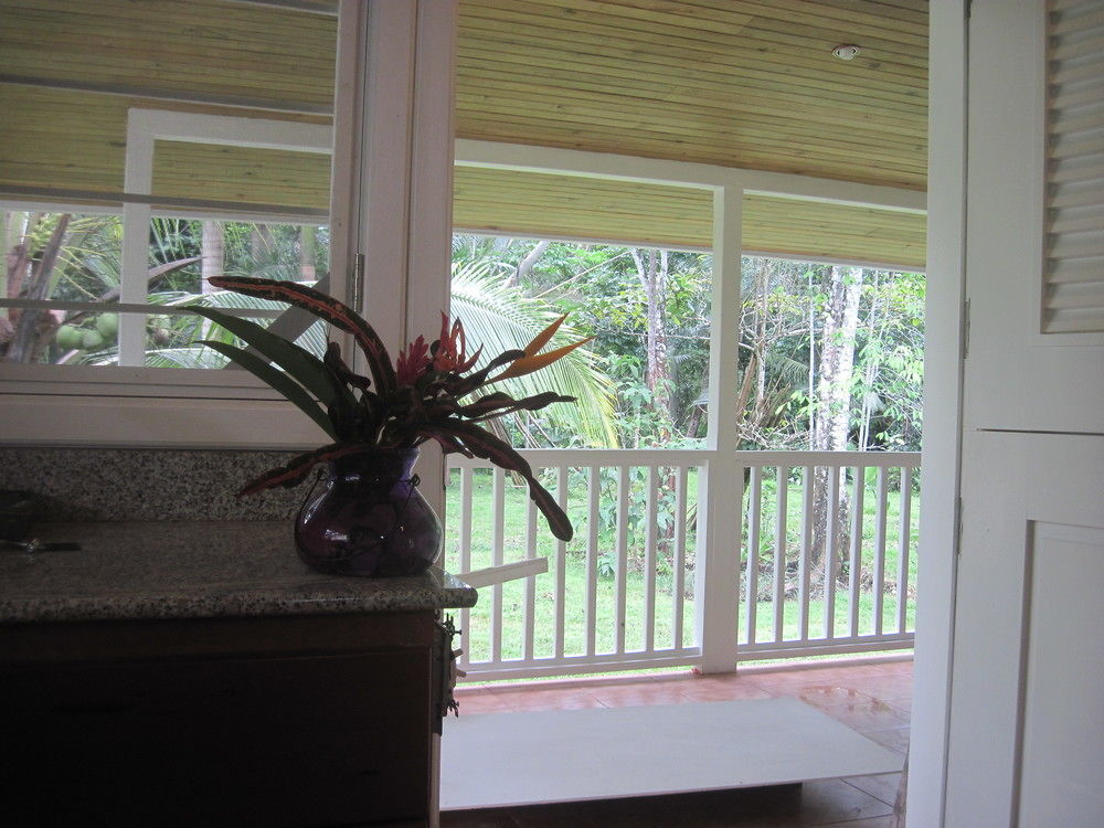Sand Dollar Beach Bed&Breakfast Bocas del Toro Exterior foto