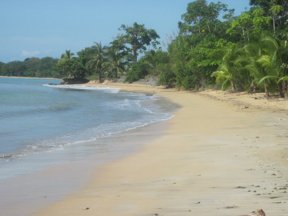 Sand Dollar Beach Bed&Breakfast Bocas del Toro Exterior foto