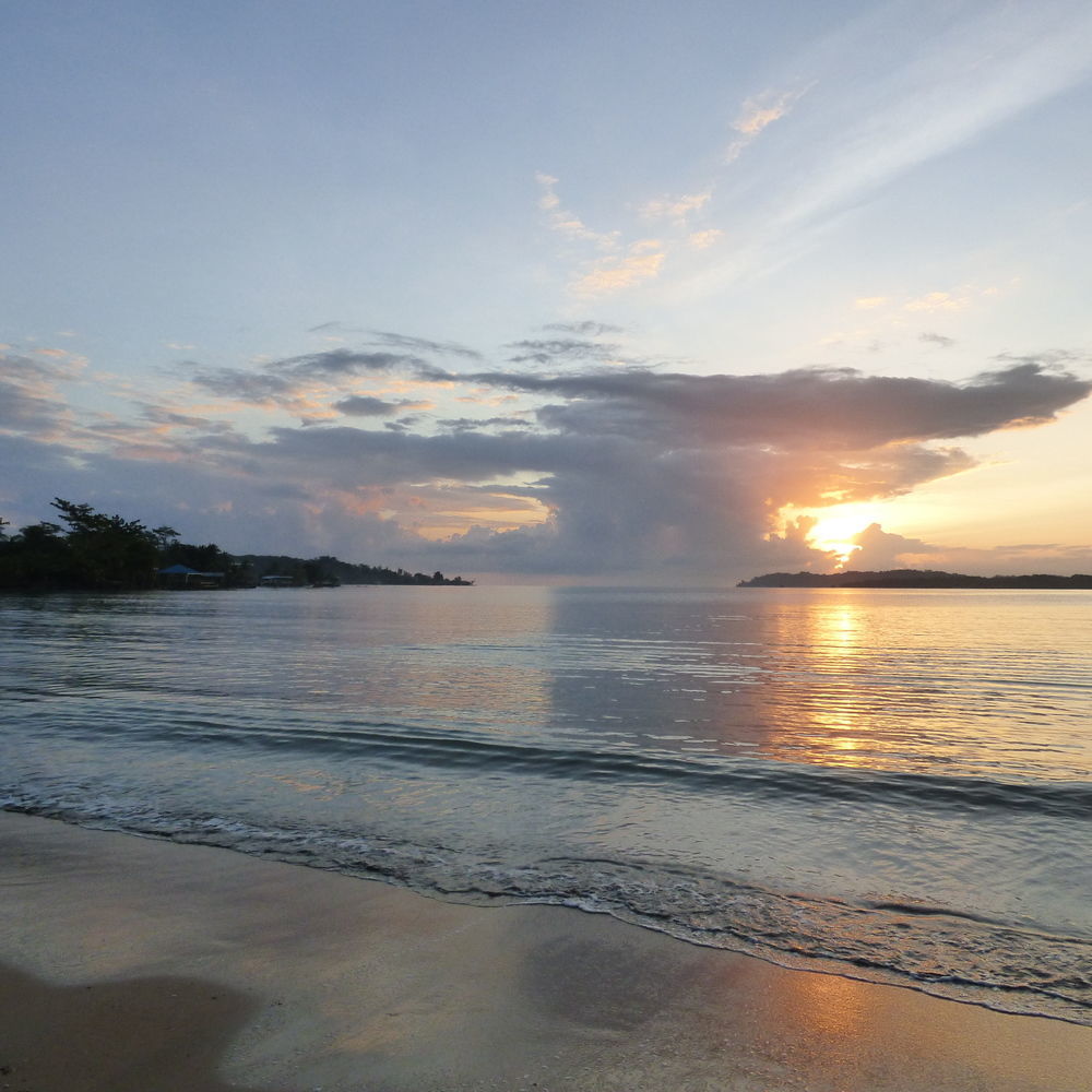 Sand Dollar Beach Bed&Breakfast Bocas del Toro Exterior foto